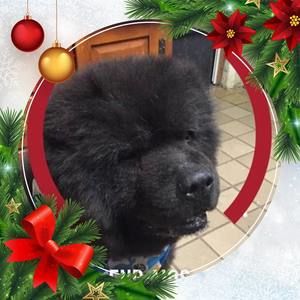 Meet your Posher, Deidre